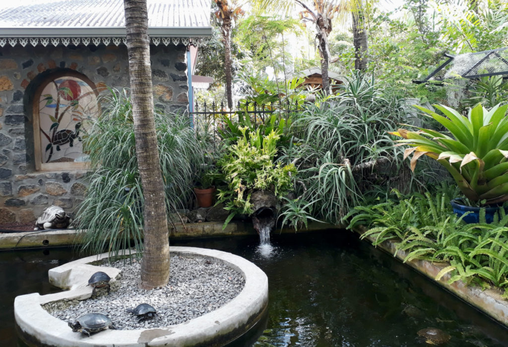 Le jardin des tortues- sortie en famille