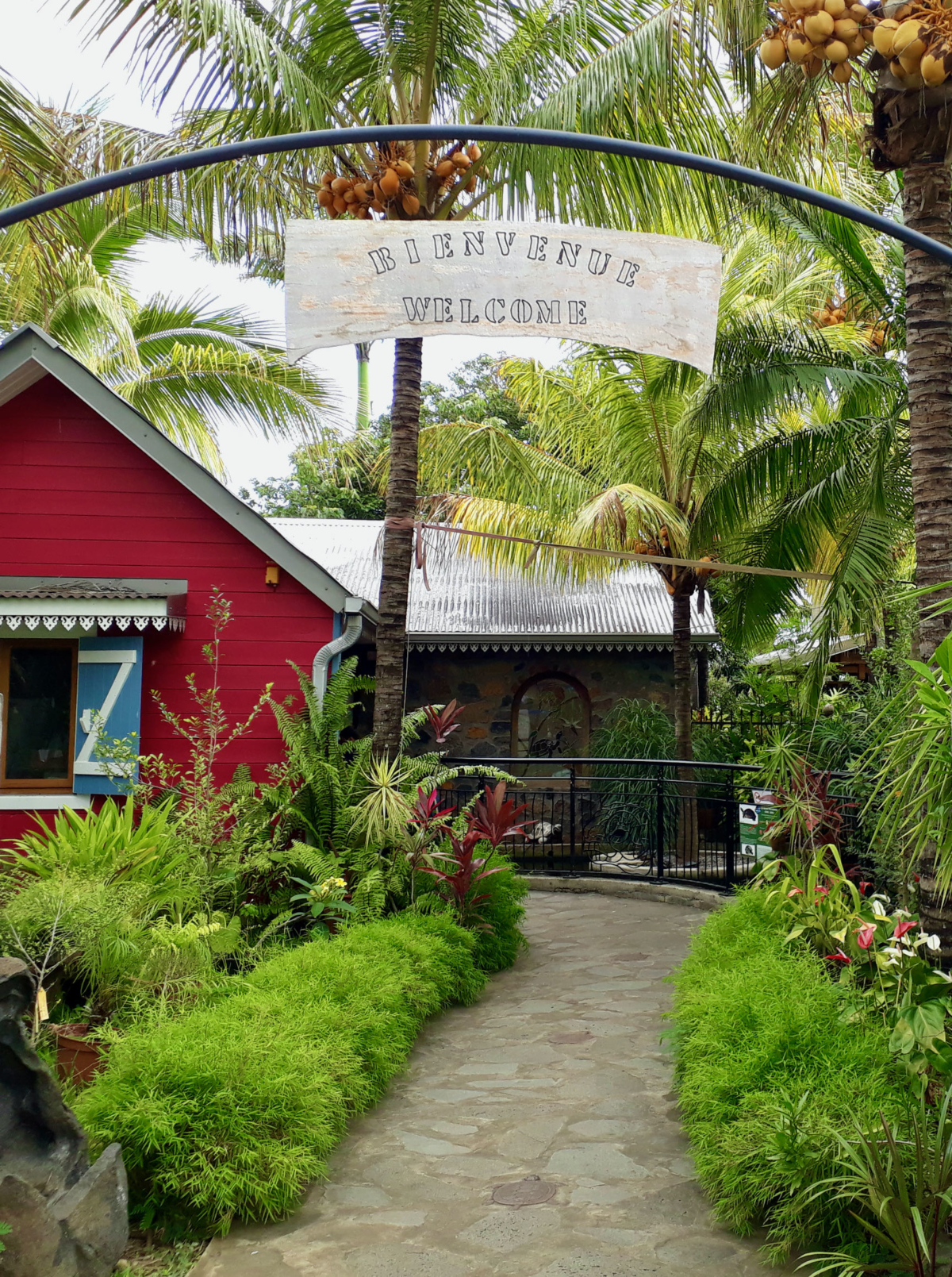 Jardin des tortue - sorties pour enfants